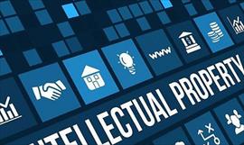 Panameos opinan acerca del debate en Europa sobre la propiedad intelectual