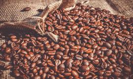 Café panameño rompe record de la ‘Taza de café más Cara’
