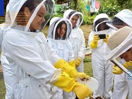 Celebran el d�a de la Tierra con reforestaci�n en Panam� Pac�fico, V�a Panamericana y Metro Park