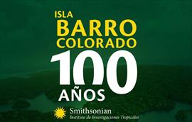 Conociendo las reservas de carbono azul de Panam