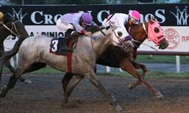 Luis Sez se queda con la corona del Gulfstream Park