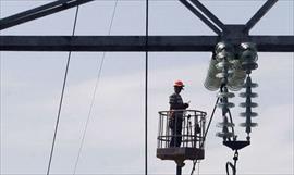 Cada de rboles sobre la red elctrica deja sectores sin luz