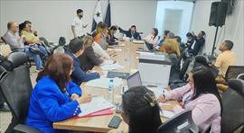 Educadores denuncian obligatoriedad de ense�anza del ingl�s