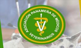 Extranjero es llevado a la crcel por trfico de personas