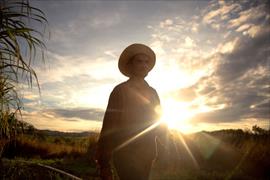 Varela Hermanos y Fundacin Pro-Eco Azuero se unen para proteger la biodiversidad y promover la educacin ambiental en nios de Herrera