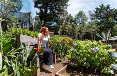 Panam� y Medell�n: una conexi�n a�rea que acerca a los viajeros al turismo de salud y bienestar
