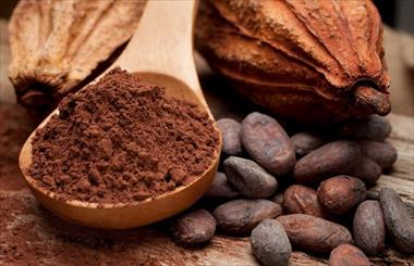 /vidasocial/mitos-y-verdades-sobre-el-chocolate-que-dice-realmente-la-ciencia/107085.html